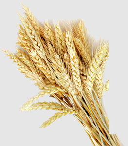 首页- 人生就是博中国官方网站