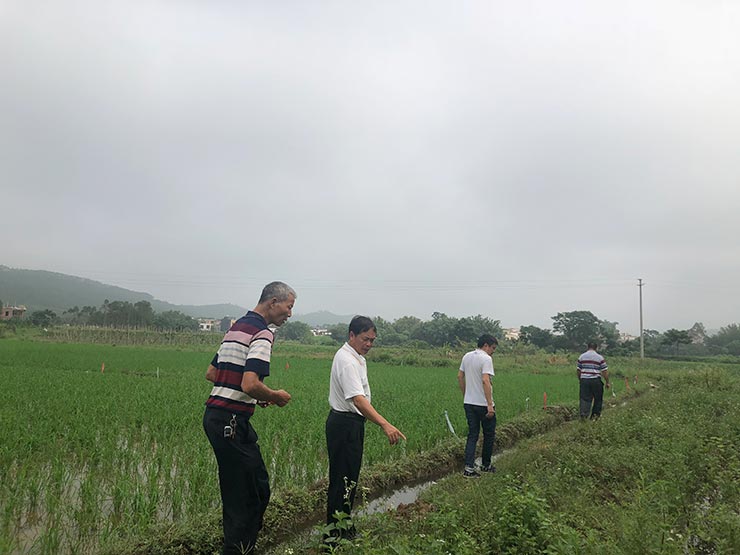 首页- 人生就是博中国官方网站