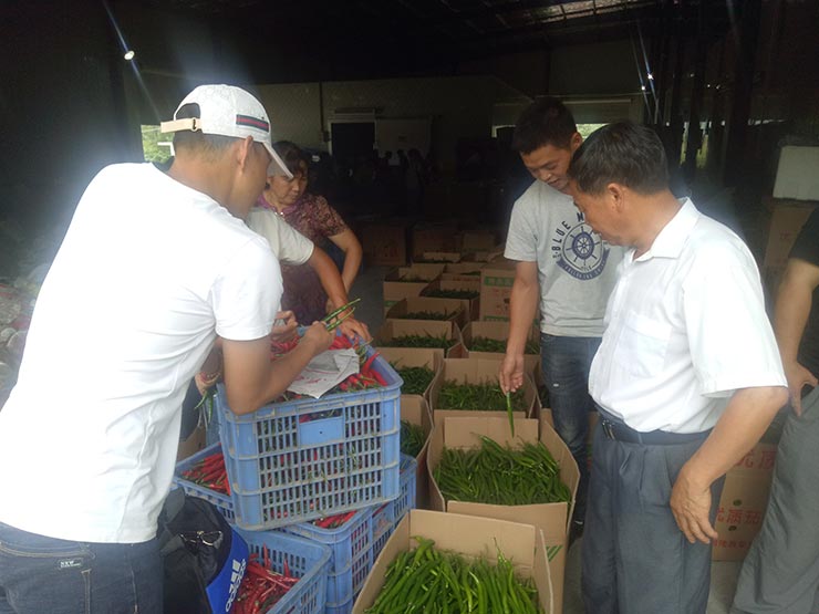 首页- 人生就是博中国官方网站