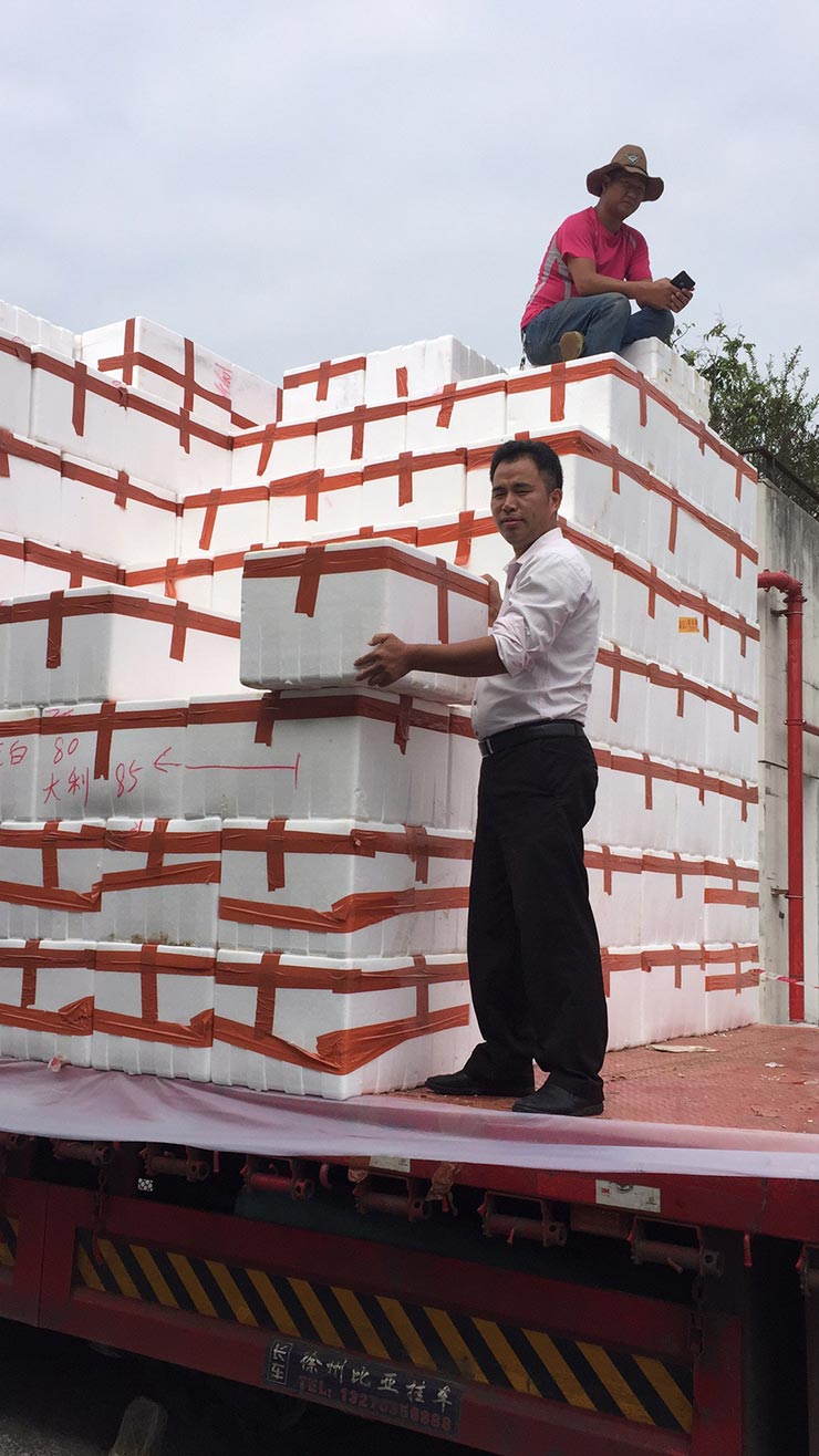 首页- 人生就是博中国官方网站