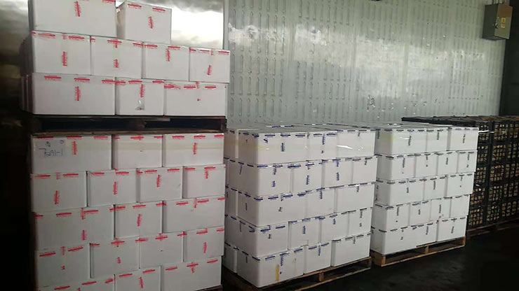 首页- 人生就是博中国官方网站