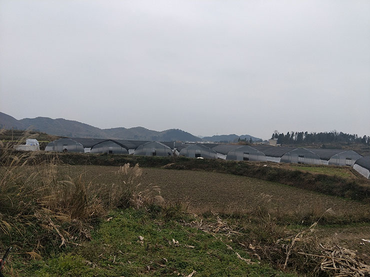 首页- 人生就是博中国官方网站