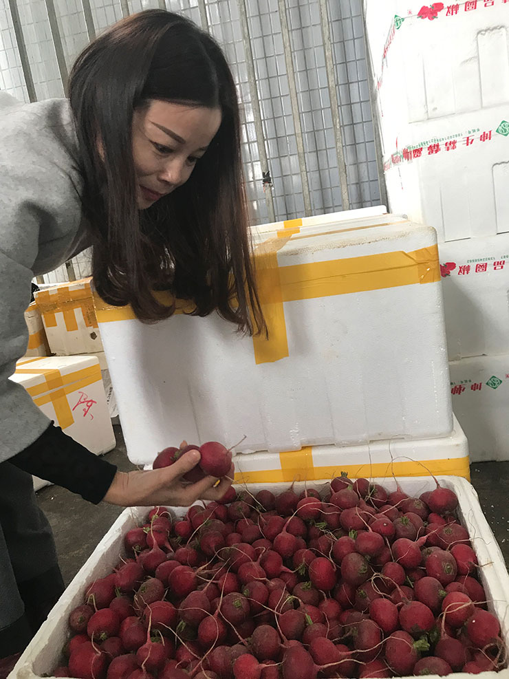 首页- 人生就是博中国官方网站