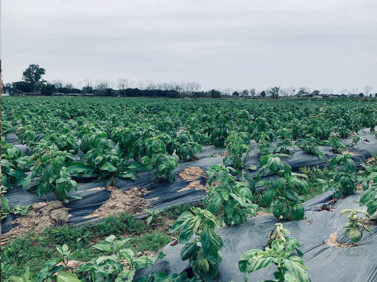 首页- 人生就是博中国官方网站