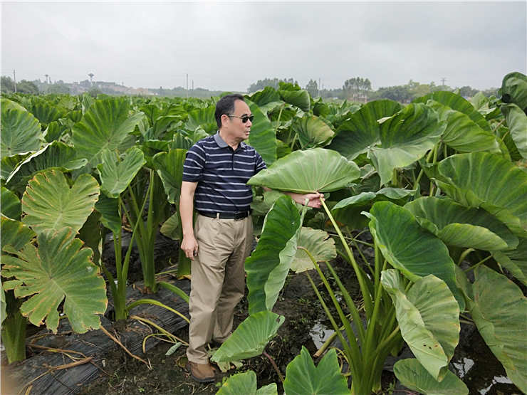 首页- 人生就是博中国官方网站