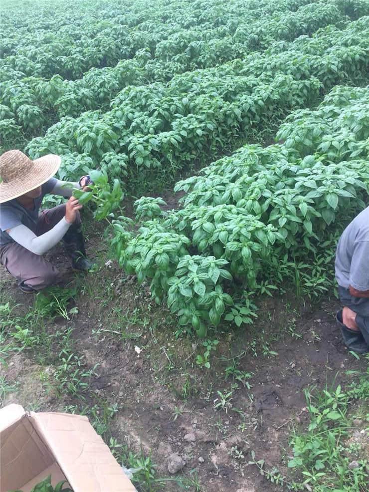 首页- 人生就是博中国官方网站