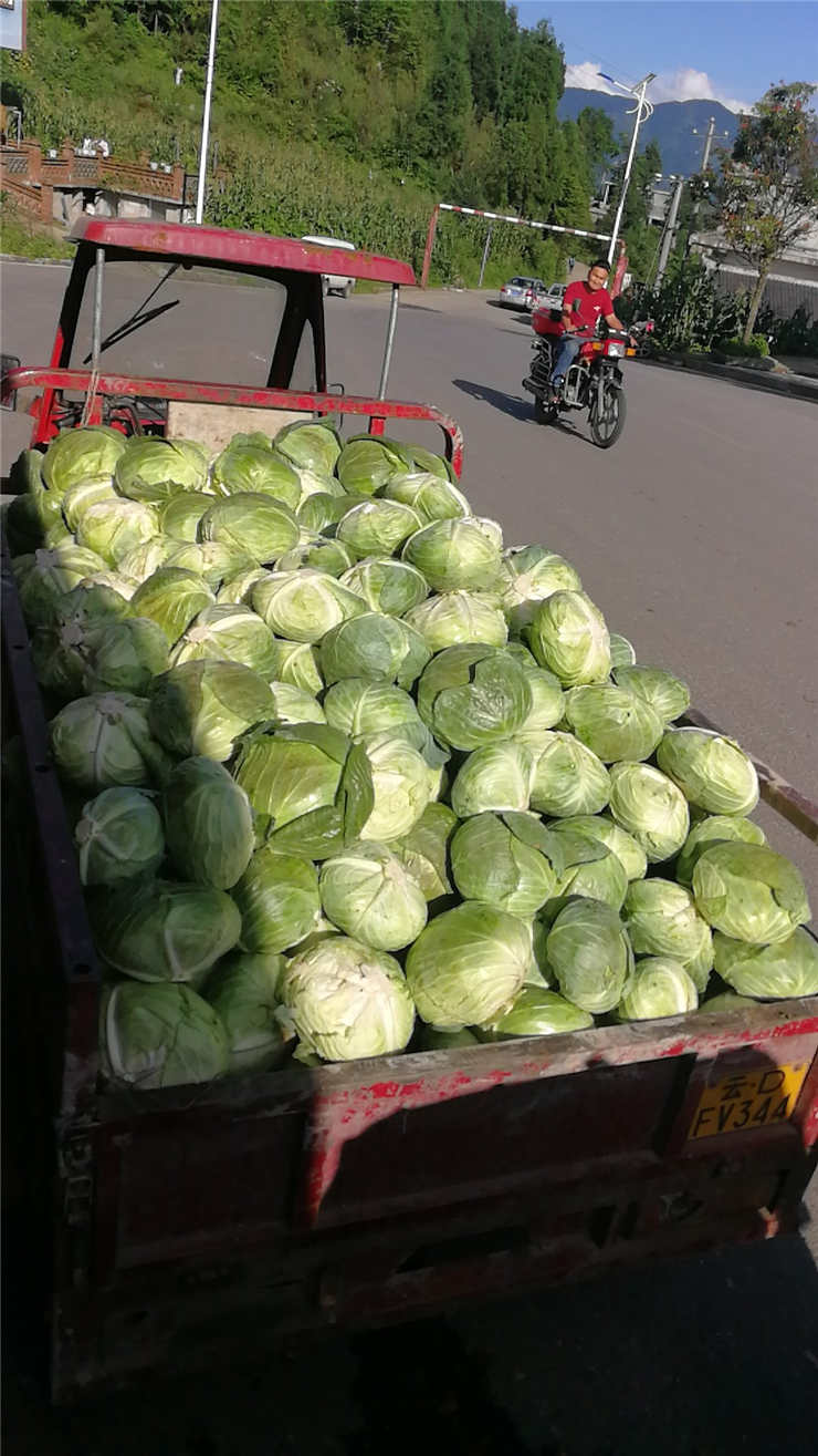 首页- 人生就是博中国官方网站