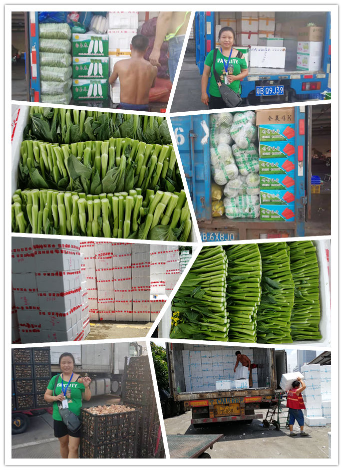 首页- 人生就是博中国官方网站