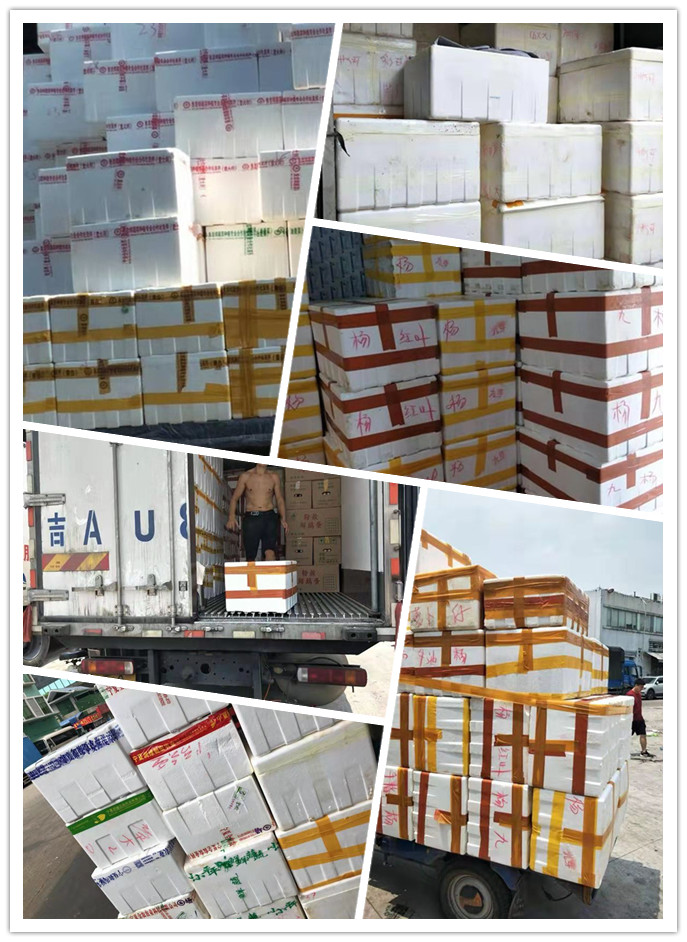 首页- 人生就是博中国官方网站