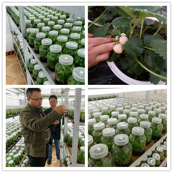 首页- 人生就是博中国官方网站