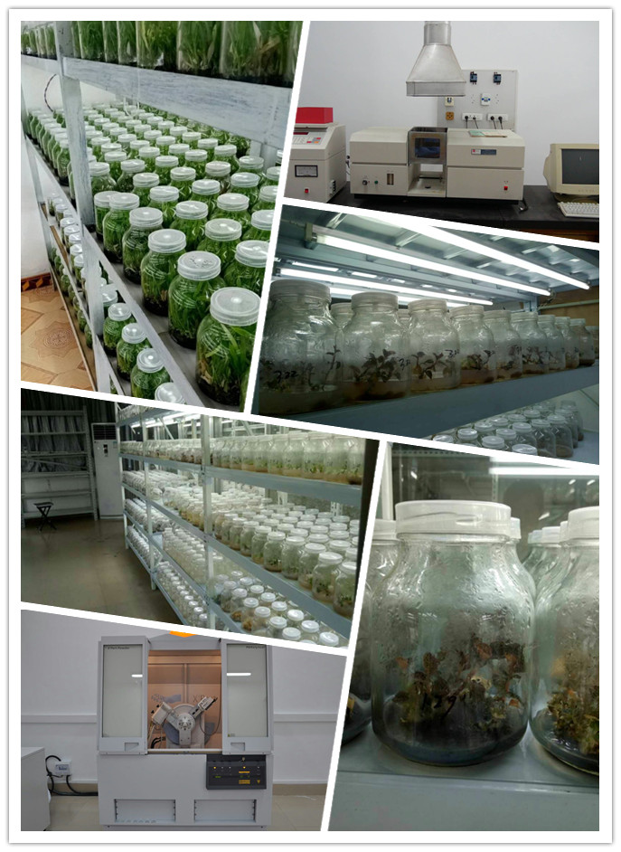 首页- 人生就是博中国官方网站