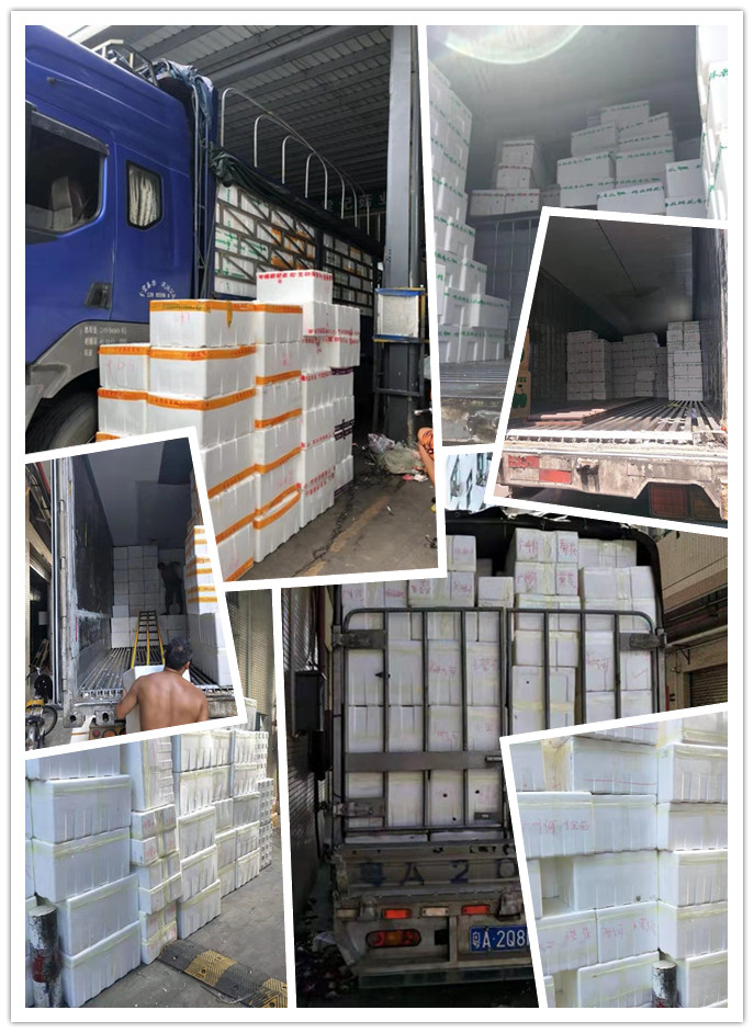 首页- 人生就是博中国官方网站