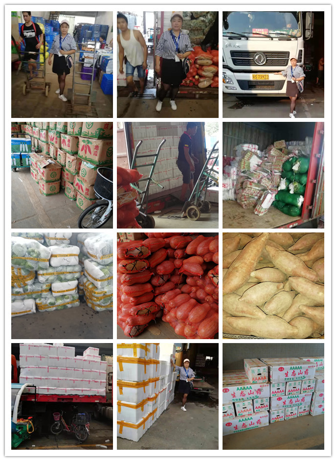 首页- 人生就是博中国官方网站