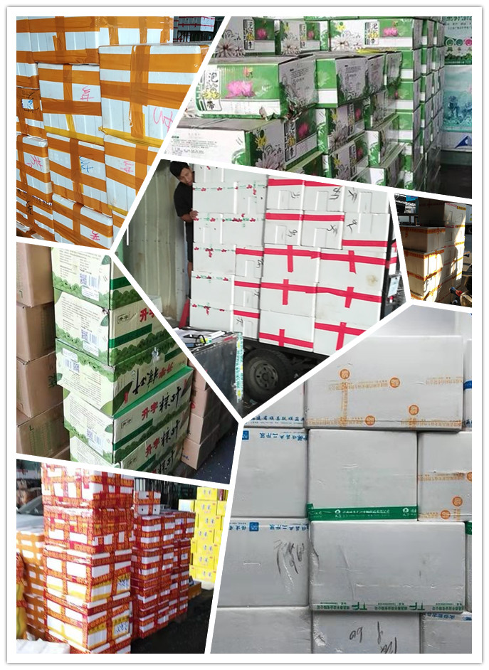 首页- 人生就是博中国官方网站