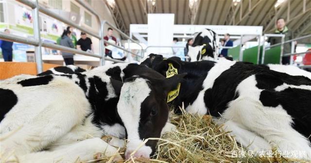 首页- 人生就是博中国官方网站