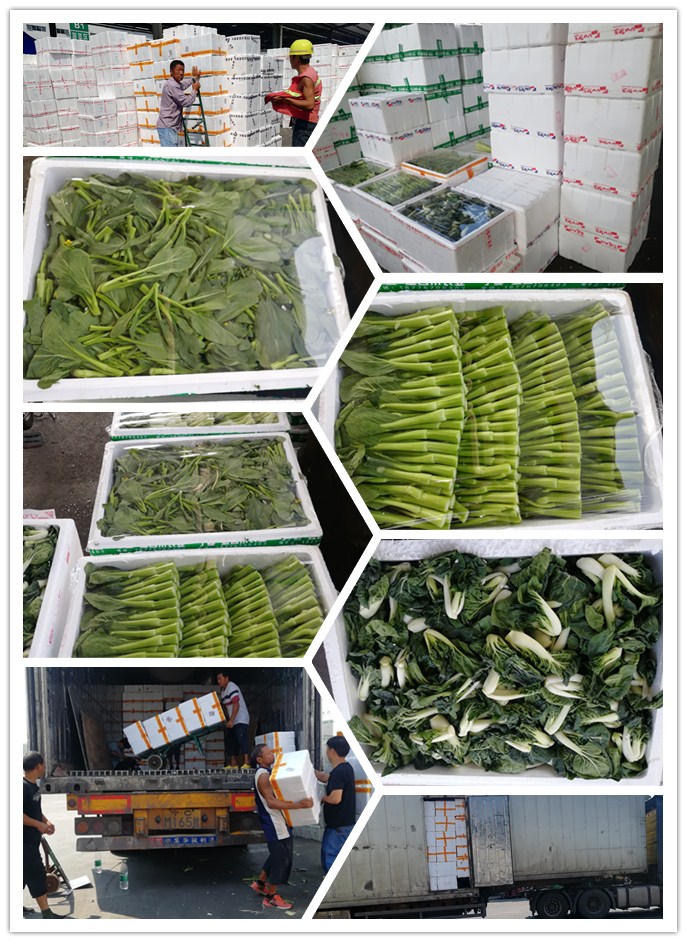 首页- 人生就是博中国官方网站