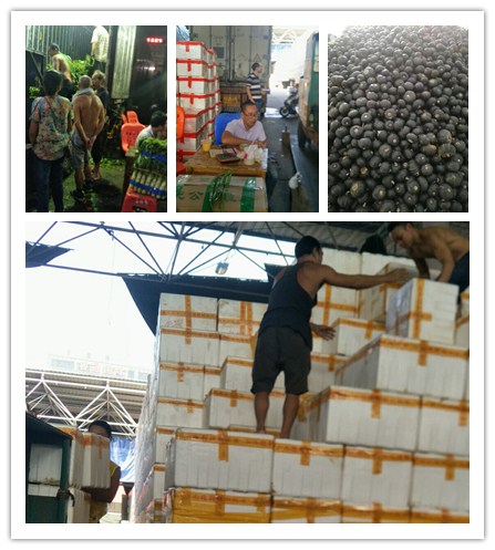 首页- 人生就是博中国官方网站