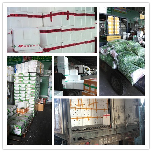 首页- 人生就是博中国官方网站