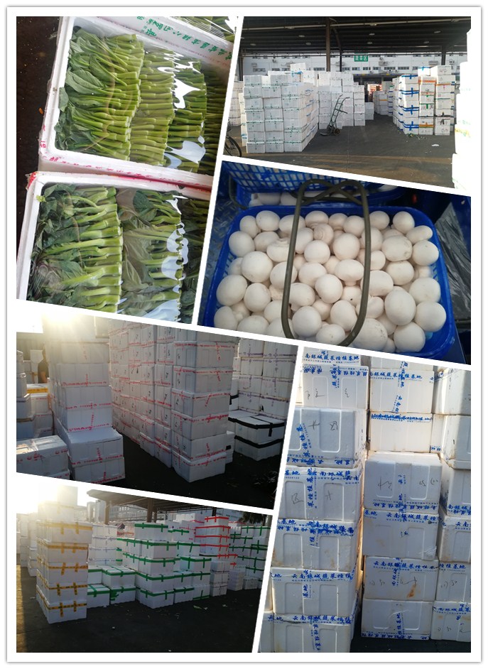 首页- 人生就是博中国官方网站