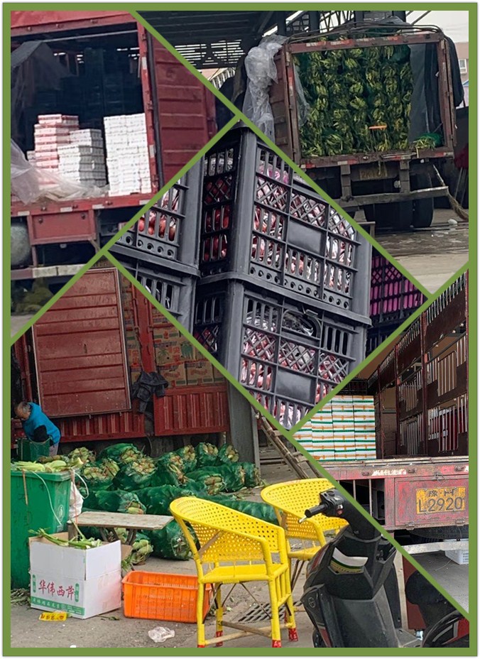 首页- 人生就是博中国官方网站