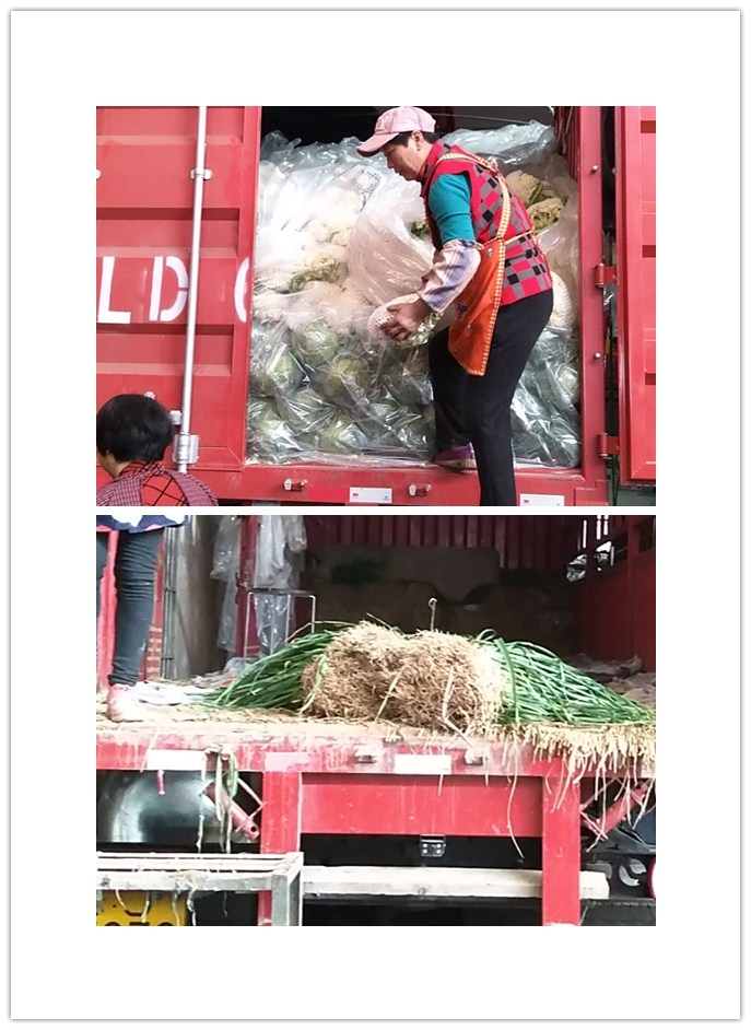 首页- 人生就是博中国官方网站