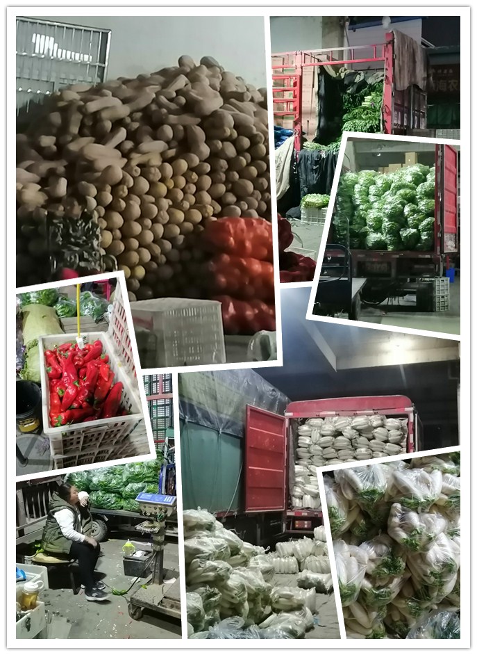 首页- 人生就是博中国官方网站