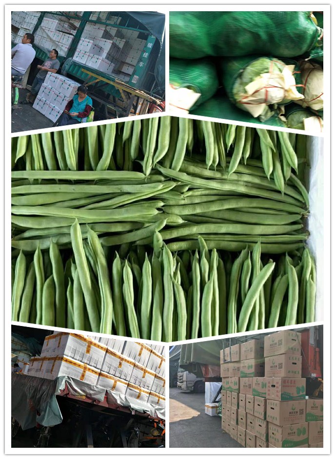 首页- 人生就是博中国官方网站