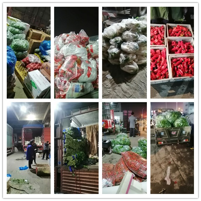 首页- 人生就是博中国官方网站