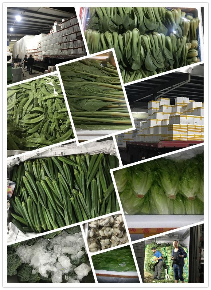 首页- 人生就是博中国官方网站