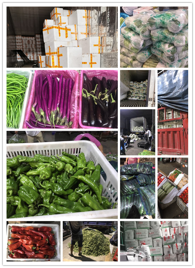 首页- 人生就是博中国官方网站