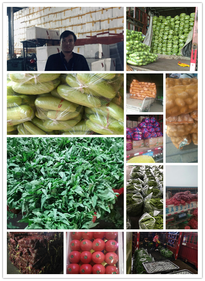 首页- 人生就是博中国官方网站