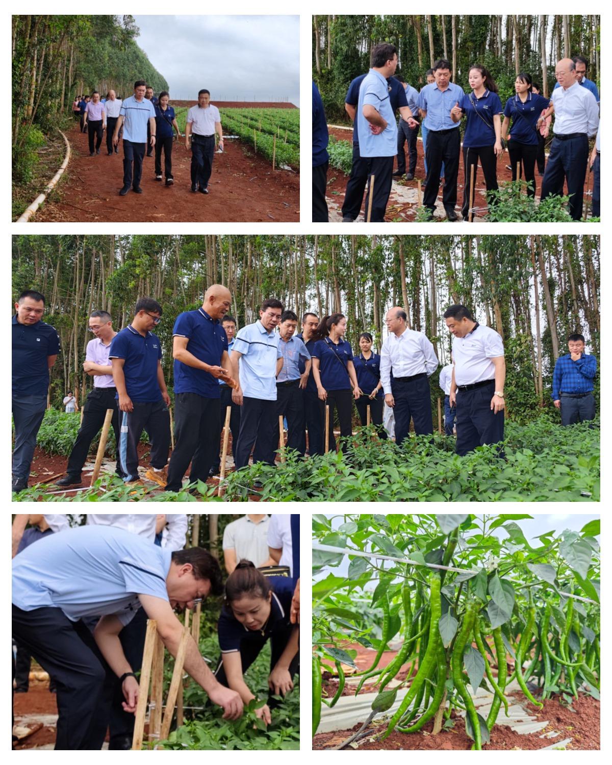 首页- 人生就是博中国官方网站