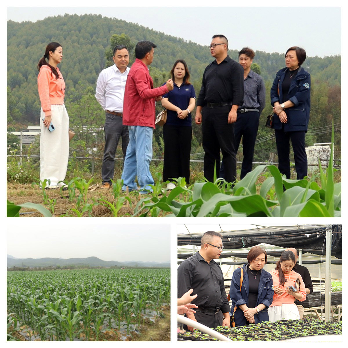 首页- 人生就是博中国官方网站