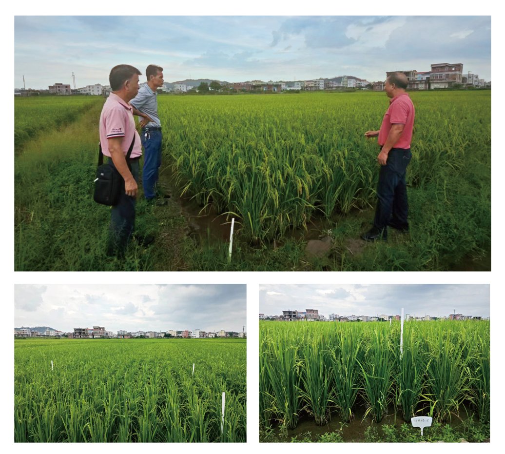 首页- 人生就是博中国官方网站