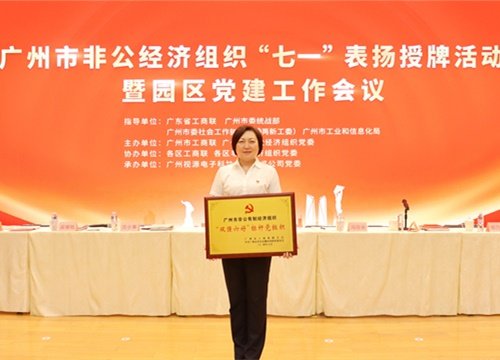 标杆引领，荣誉升级！集团党支部荣膺广州市非公有造经济组织“双强六好”标