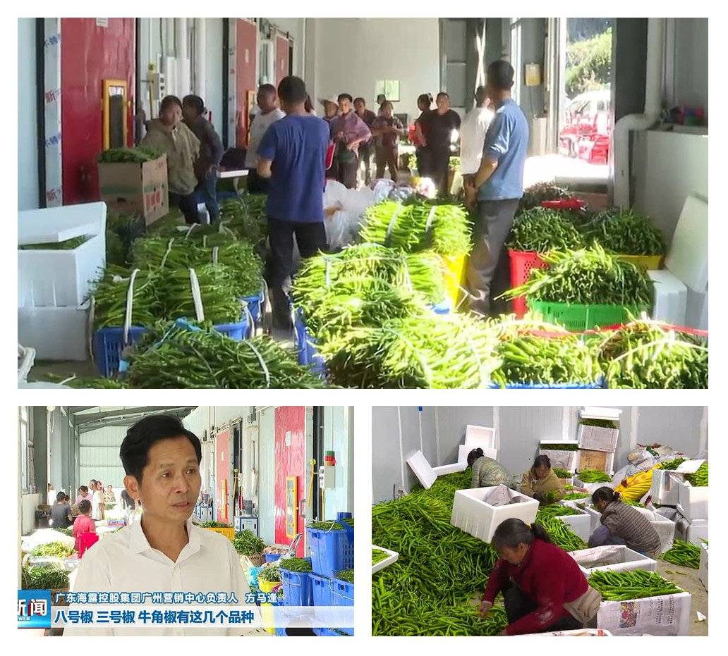 首页- 人生就是博中国官方网站